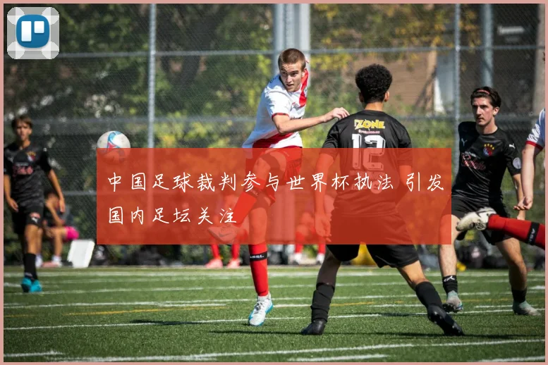 中国足球裁判参与世界杯执法 引发国内足坛关注