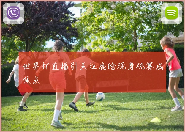 世界杯直播引关注鹿晗现身观赛成焦点