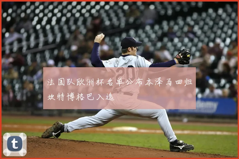 法国队欧洲杯名单公布本泽马回归坎特博格巴入选